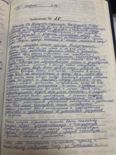 Центр Кинезитерапии
